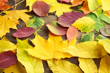 Naklejka na ściany i meble Autumn leaves on the wooden background