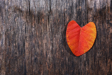 Red leaf on wooden textured background