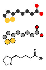Lipoic acid enzyme cofactor molecule. 