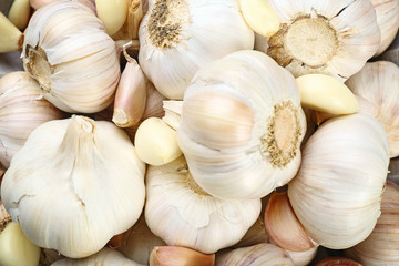 Garlic background