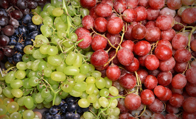 Grape background