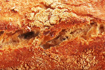 Bread background