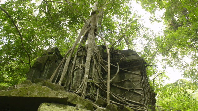 Beng melea temple Unesco world heritage site  dolly  