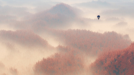Aerial of misty autumn pine tree forest with hot air balloon.