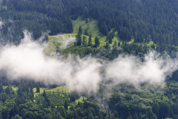 Tiefliegende Wolken vor Bergwald