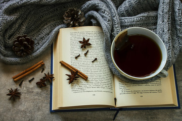 Rilassarsi con una tazza di tè e un buon libro