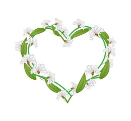 White Crape Myrtle Flowers in A Heart Shape
