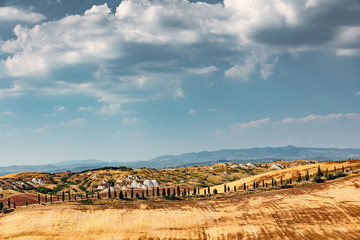 Landschaft, Le Crete, Toskana