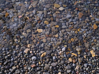 水底の小石