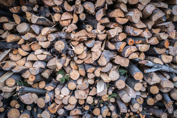 Firewood _ Material