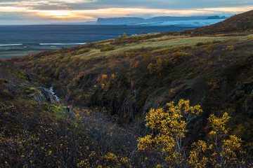 Dramatic view of green field hill with yellow plant foreground and glacier mountain range background during sunset in Autumn season Iceland