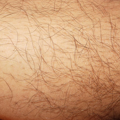 Mans hairy leg