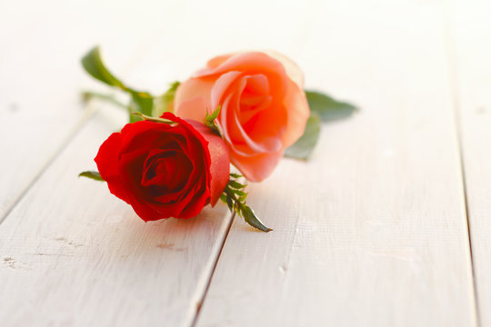 Stock Photo:.Fresh red rose flower on the white wooden shelf. Wh