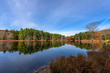 Reflection,Lake Nawahunta New Jersey
