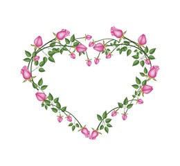 Beautiful Pink Roses Flowers in Heart Shape