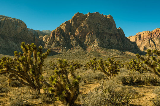Red Rock Canyon Recreational Area
