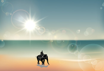 Fototapeta na wymiar Elephant and Rider under Sunset 