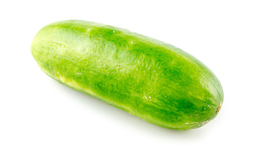Juicy small cucumber