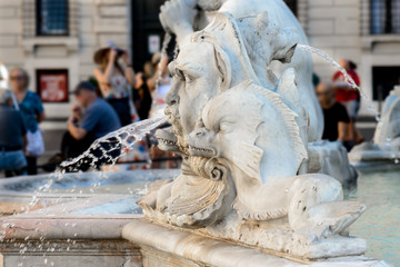 Fototapeta na wymiar Navona square fountain