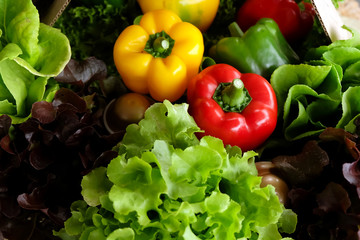 Fresh vegetables for healthy salad and sweet pepper.
