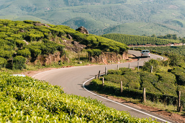 Narrow mountain road though tea plantation in Munnar, India.