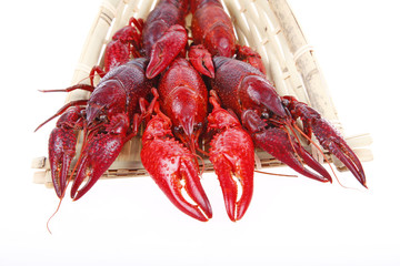 Crawfish