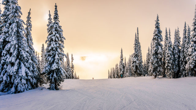 Sun breaking through the clouds on a ski hill in central British Columbia. Snow covered trees surrounding the ski runs