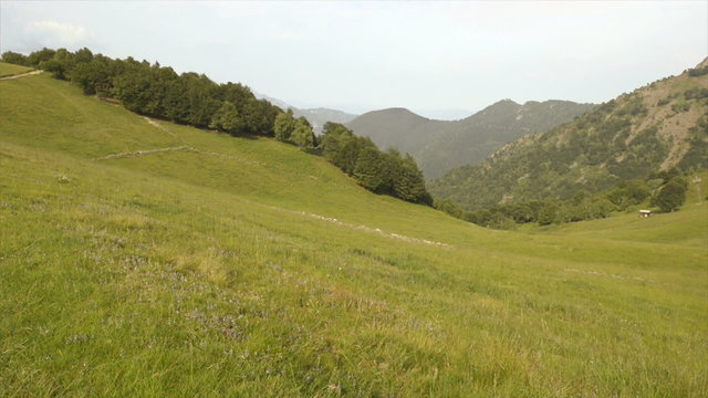 Mountain fiels in summer day  dolly  