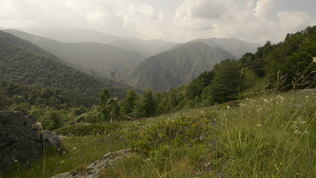 Mountain fiels in summer day  dolly  