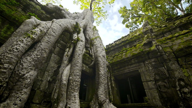 Ta prohm temple Unesco world heritage site  dolly  