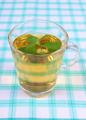 Fresh lemon balm and glass of herbal drink on tablecloth