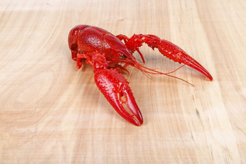 Crawfish