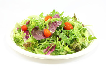 Healthy Garden Salad
