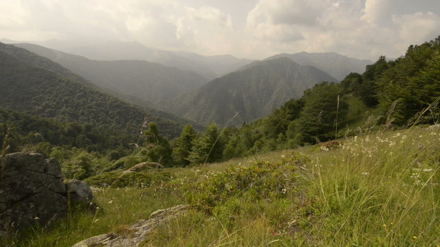 Mountain fiels in summer day  dolly  