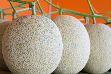 Melon fruits with orange background