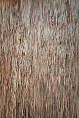 hay or straw background