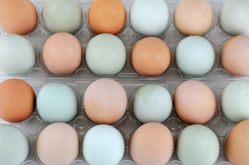 real colorful chicken eggs in the container