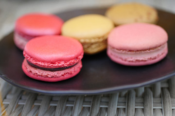 colorful macaron on plate close up shot