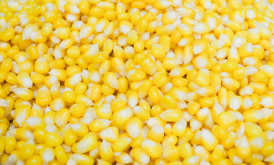 corn kernels