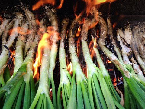 Cal&ccedil;ots