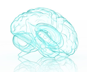 X-ray human brain in blue.