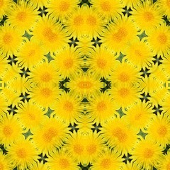 Yellow dandelion background, generated kaleidoscopically, seamle