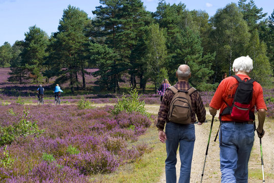 Wanderer in der S&uuml;dheide