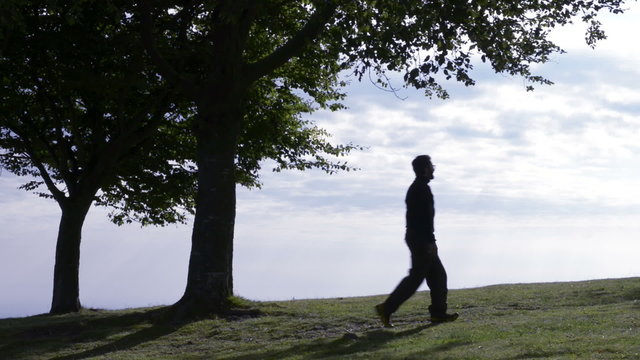 Man walking in nature enjoying the panorama