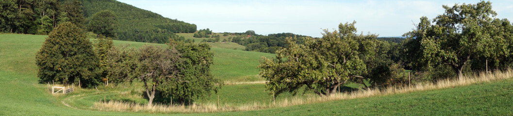 Orchard