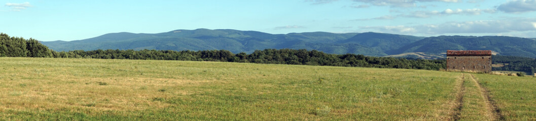 Panorama of green field
