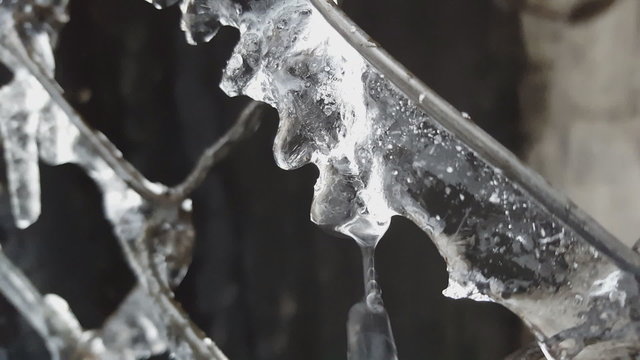Water dripping off of icicles as temperatures start to warm.