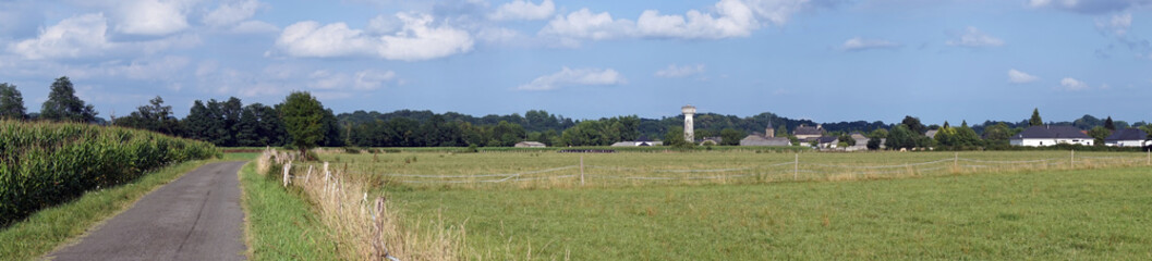 Green pasture