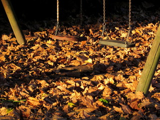 Altalene nel parco in autunno