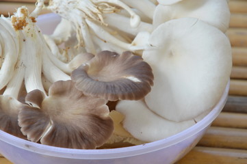 mushroom in plastic tray on bamboo table